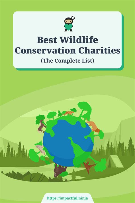 9 Best Wildlife Conservation Charities (Complete 2024 List).
